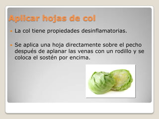 Aplicar hojas de col
 La col tiene propiedades desinflamatorias.
 Se aplica una hoja directamente sobre el pecho
después de aplanar las venas con un rodillo y se
coloca el sostén por encima.
 