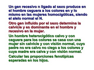 Un ggeenn rreecceessiivvoo nn lliiggaaddoo aall sseexxoo pprroodduuccee eenn 
eell hhoommbbrree cceegguueerraa aa llooss ccoolloorreess eenn yy lloo 
mmiissmmoo eenn llaass mmuujjeerreess hhoommoocciiggóóttiiccaass,, ssiieennddoo 
eell aalleelloo nnoorrmmaall eell NN.. 
OOttrroo ggeenn iinnfflluuiiddoo ppoorr eell sseexxoo ddeetteerrmmiinnaa llaa 
ccaallvviicciiee yy eess ddoommiinnaannttee eenn eell hhoommbbrree yy 
rreecceessiivvoo eenn llaa mmuujjeerr.. 
UUnn hhoommbbrree hheetteerroocciiggóóttiiccoo ccaallvvoo yy ccoonn 
cceegguueerraa ppaarraa llooss ccoolloorreess ssee ccaassaa ccoonn uunnaa 
mmuujjeerr ssiinn ccaallvviicciiee yy ccoonn vviissiióónn nnoorrmmaall,, ccuuyyoo 
ppaaddrree nnoo eerraa ccaallvvoo nnoo cciieeggoo aa llooss ccoolloorreess yy 
ccuuyyaa mmaaddrree eerraa ccaallvvaa yy ccoonn vviissiióónn nnoorrmmaall.. 
CCaallccuullaarr llaass pprrooppoorrcciioonneess ffeennoottííppiiccaass 
eessppeerraaddaass eenn llooss hhiijjooss.. 
 