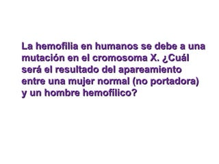 LLaa hheemmooffiilliiaa eenn hhuummaannooss ssee ddeebbee aa uunnaa 
mmuuttaacciióónn eenn eell ccrroommoossoommaa XX.. ¿CCuuááll 
sseerráá eell rreessuullttaaddoo ddeell aappaarreeaammiieennttoo 
eennttrree uunnaa mmuujjeerr nnoorrmmaall ((nnoo ppoorrttaaddoorraa)) 
yy uunn hhoommbbrree hheemmooffíílliiccoo?? 
 