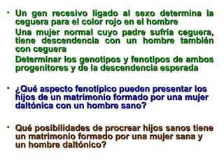 • Un gen rreecceessiivvoo lliiggaaddoo aall sseexxoo ddeetteerrmmiinnaa llaa 
cceegguueerraa ppaarraa eell ccoolloorr rroojjoo eenn eell hhoommbbrree 
UUnnaa mmuujjeerr nnoorrmmaall ccuuyyoo ppaaddrree ssuuffrrííaa cceegguueerraa,, 
ttiieennee ddeesscceennddeenncciiaa ccoonn uunn hhoommbbrree ttaammbbiiéénn 
ccoonn cceegguueerraa 
DDeetteerrmmiinnaarr llooss ggeennoottiippooss yy ffeennoottiippooss ddee aammbbooss 
pprrooggeenniittoorreess yy ddee llaa ddeesscceennddeenncciiaa eessppeerraaddaa 
• ¿QQuuéé aassppeeccttoo ffeennoottííppiiccoo ppuueeddeenn pprreesseennttaarr llooss 
hhiijjooss ddee uunn mmaattrriimmoonniioo ffoorrmmaaddoo ppoorr uunnaa mmuujjeerr 
ddaallttóónniiccaa ccoonn uunn hhoommbbrree ssaannoo?? 
• QQuuéé ppoossiibbiilliiddaaddeess ddee pprrooccrreeaarr hhiijjooss ssaannooss ttiieennee 
uunn mmaattrriimmoonniioo ffoorrmmaaddoo ppoorr uunnaa mmuujjeerr ssaannaa yy 
uunn hhoommbbrree ddaallttóónniiccoo?? 
 