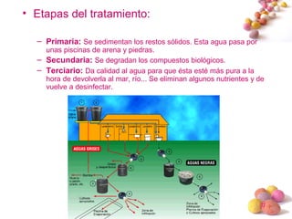 #
• Etapas del tratamiento:
– Primaria: Se sedimentan los restos sólidos. Esta agua pasa por
unas piscinas de arena y piedras.
– Secundaria: Se degradan los compuestos biológicos.
– Terciario: Da calidad al agua para que ésta esté más pura a la
hora de devolverla al mar, río... Se eliminan algunos nutrientes y de
vuelve a desinfectar.
 