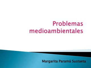 Margarita Paramá Sustaeta
 