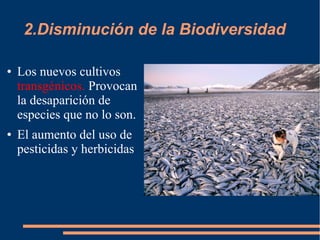 2.Disminución de la Biodiversidad
● Los nuevos cultivos
transgénicos. Provocan
la desaparición de
especies que no lo son.
● El aumento del uso de
pesticidas y herbicidas
 