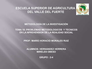 ESCUELA SUPERIOR DE AGRICULTURA  DEL VALLE DEL FUERTE METODOLOGÍA DE LA INVESTIGACIÓN TEMA 10: PROBLEMAS METODOLOGICOS  Y TECNICOS EN LA APREHENSION DE LA REALIDAD SOCIAL PROF: MARIO HORACIO MORALES RUIZ ALUMNOS: HERNANDEZ HERRERA  MIRELES OBESO GRUPO : 2-4 