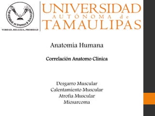 Anatomía Humana
Correlación Anatomo Clínica
Desgarro Muscular
Calentamiento Muscular
Atrofia Muscular
Miosarcoma
 
