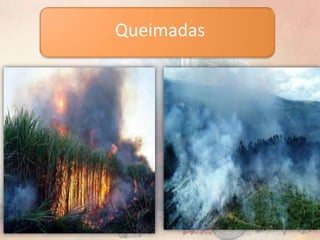 Queimadas
 