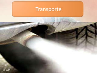 Transporte
 