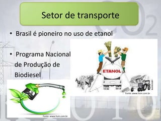 Setor de transporte
• Brasil é pioneiro no uso de etanol
• Programa Nacional
de Produção de
Biodiesel
Fonte: www.hsm.com.br
Fonte: www.hsm.com.br
 