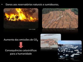 • Danos aos reservatórios naturais e sumidouros;
Fonte: fundajl Fonte: greenpeace
Aumento das emissões de CO2
Consequências catastróficas
para a humanidade
Fonte: achetudoeregião
Fonte: globo
 