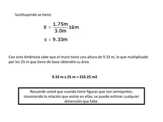 Sustituyendo se tiene:
Con esto Ambrosio sabe que el muro tiene una altura de 9.33 m, lo que multiplicado
por los 25 m que tiene de base obtendrá su área.
9.33 m x 25 m = 233.25 m2
Recuerde usted que cuando tiene figuras que son semejantes,
conociendo la relación que existe en ellas, se puede estimar cualquier
dimensión que falte.
 