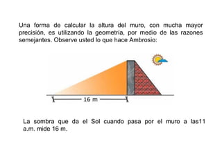 Una forma de calcular la altura del muro, con mucha mayor
precisión, es utilizando la geometría, por medio de las razones
semejantes. Observe usted lo que hace Ambrosio:
La sombra que da el Sol cuando pasa por el muro a las11
a.m. mide 16 m.
 