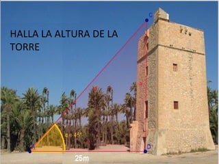 24/11/2010
Calcula la altura de la torre
HALLA LA ALTURA DE LA
TORRE
 