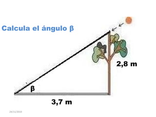 24/11/2010
2,8 m
3,7 m
Calcula el ángulo β
β
 