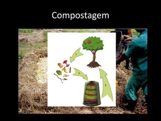 Compostagem
 