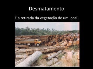 Desmatamento
É a retirada da vegetação de um local.
 