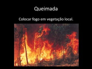 Queimada
Colocar fogo em vegetação local.
 