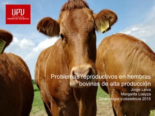 Problemas reproductivos en hembras
bovinas de alta producción
Jorge Leiva
Margarita Loayza
Ginecología y obstetricia 2015
 