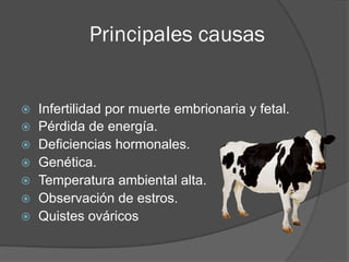 Principales causas
  Infertilidad por muerte embrionaria y fetal.
  Pérdida de energía.
  Deficiencias hormonales.
...