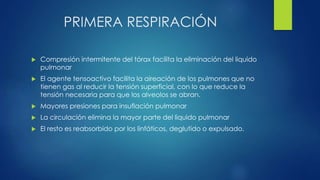 PRIMERA RESPIRACIÓN
 Compresión intermitente del tórax facilita la eliminación del liquido
pulmonar
 El agente tensoactivo facilita la aireación de los pulmones que no
tienen gas al reducir la tensión superficial, con lo que reduce la
tensión necesaria para que los alveolos se abran.
 Mayores presiones para insuflación pulmonar
 La circulación elimina la mayor parte del liquido pulmonar
 El resto es reabsorbido por los linfáticos, deglutido o expulsado.
 