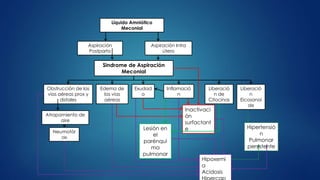 Líquido Amniótico
Meconial
Aspiración Intra
útero
Aspiración
Postparto
Sindrome de Aspiración
Meconial
Obstrucción de las
vías aéreas prox y
distales
Neumotór
ax
Liberació
n de
Citocinas
Lesión en
el
parénqui
ma
pulmonar
Inactivaci
ón
surfactant
e Hipertensió
n
Pulmonar
persistente
Exudad
o
Edema de
las vías
aéreas
Inflamació
n
Hipoxemi
a
Acidosis
Liberació
n
Eicosanoi
de
Atrapamiento de
aire
 