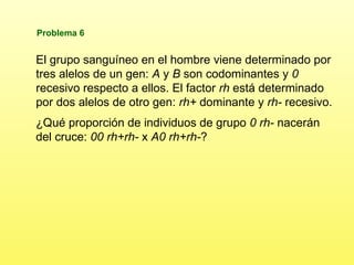 Problema 6 El grupo sanguíneo en el hombre viene determinado por tres alelos de un gen:  A  y  B  son codominantes y  0  recesivo respecto a ellos. El factor  rh  está determinado por dos alelos de otro gen:  rh+  dominante y  rh-  recesivo.  ¿Qué proporción de individuos de grupo  0 rh-  nacerán del cruce:  00 rh+rh-  x  A0 rh+rh- ? 