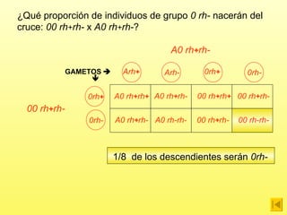 ¿Qué proporción de individuos de grupo  0 rh-  nacerán del cruce:  00 rh + rh-  x  A0 rh + rh- ? A0 rh + rh- GAMETOS     A0 rh + rh + A0 rh + rh- A0 rh + rh- A0 rh-rh- 00 rh + rh + 00 rh + rh- 00 rh + rh- 00 rh-rh- 00 rh + rh- 1/8  de los descendientes serán  0rh- Arh + Arh- 0rh + 0rh- 0rh + 0rh- 
