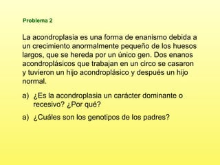 Problema 2 La acondroplasia es una forma de enanismo debida a un crecimiento anormalmente pequeño de los huesos largos, que se hereda por un único gen. Dos enanos acondroplásicos que trabajan en un circo se casaron y tuvieron un hijo acondroplásico y después un hijo normal. ¿Es la acondroplasia un carácter dominante o recesivo? ¿Por qué? ¿Cuáles son los genotipos de los padres? 