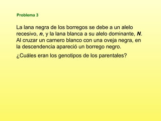 Problema 3 La lana negra de los borregos se debe a un alelo recesivo,  n , y la lana blanca a su alelo dominante,  N . Al cruzar un carnero blanco con una oveja negra, en la descendencia apareció un borrego negro. ¿Cuáles eran los genotipos de los parentales?  