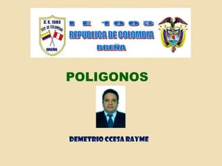 POLIGONOS
DEMETRIO CCESA RAYME
 