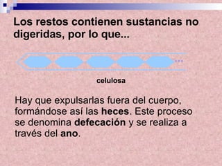 Los restos contienen sustancias no digeridas, por lo que... Hay que expulsarlas fuera del cuerpo, formándose así las  heces . Este proceso se denomina  defecación  y se realiza a través del  ano . celulosa ... 