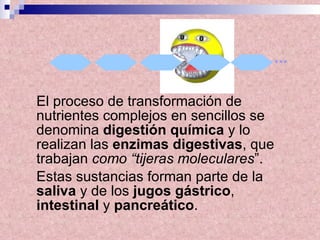 El proceso de transformación de nutrientes complejos en sencillos se denomina  digestión química  y lo realizan las  enzimas digestivas , que trabajan  como “tijeras moleculares ”.  Estas sustancias forman parte de la  saliva  y de los  jugos gástrico ,  intestinal  y  pancreático . ... 