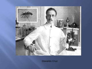 Oswaldo Cruz
 