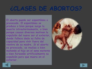 ¿CLASES DE ABORTOS?
El aborto puede ser espontáneo o
provocado. El espontáneo se
produce o bien porque surge la
muerte intrauterinamente, o bien
porque causas diversas motivan la
expulsión del nuevo ser al exterior,
donde fallece dada su falta de
capacidad para vivir fuera del
vientre de su madre. Si el aborto
es provocado, se realiza o bien
matando al hijo en el seno materno
o bien forzando artificialmente su
expulsión para que muera en el
exterior.
 