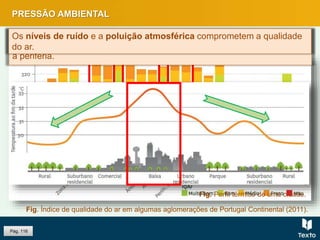 PRESSÃO AMBIENTAL
Pág. 116
Fig. Índice de qualidade do ar em algumas aglomerações de Portugal Continental (2011).
Fig. Perfil térmico de uma cidade.
A temperatura é superior nas áreas centrais das cidades e diminui para
a periferia.
Os níveis de ruído e a poluição atmosférica comprometem a qualidade
do ar.
 