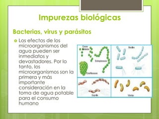 Problemas y abastecimiento de agua potable | PPTX