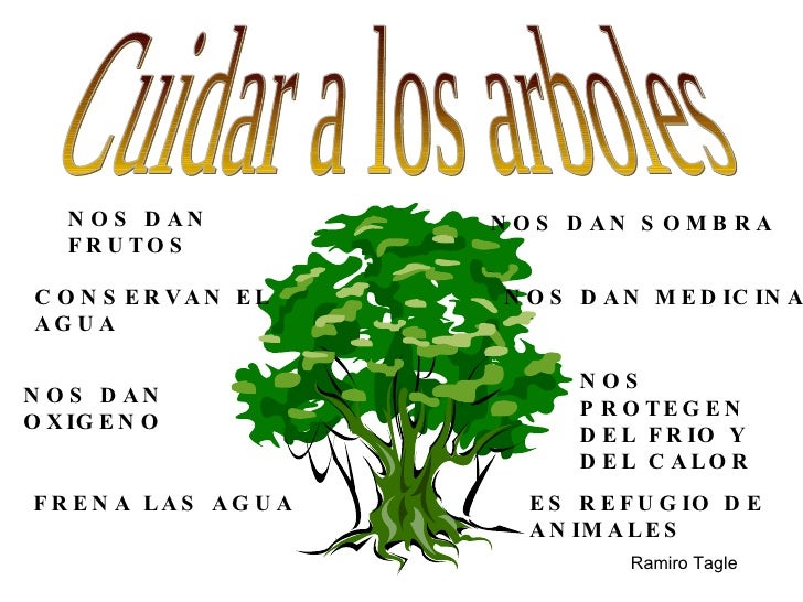 Resultado de imagen para PROTEGE LOS ÃRBOLES