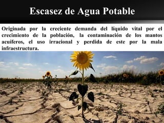 Escasez de Agua Potable
Originada por la creciente demanda del líquido vital por el
crecimiento de la población, la contaminación de los mantos
acuíferos, el uso irracional y perdida de este por la mala
infraestructura.
 