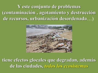 Y este conjunto de problemas
(contaminación , agotamiento y destrucción
de recursos, urbanización desordenada…)
tiene efectos glocales que degradan, además
de las ciudades, todos los ecosistemas
 