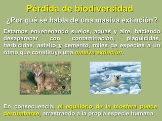 Pérdida de biodiversidad
¿Por qué se habla de una masiva extinción?
Estamos envenenando suelos, aguas y aire, haciendo
desaparecer con contaminación, plaguicidas,
herbicidas, asfalto y cemento, miles de especies a un
ritmo que constituye una masiva extinción.
En consecuencia, el equilibrio de la biosfera puede
derrumbarse, arrastrando a la propia especie humana
 