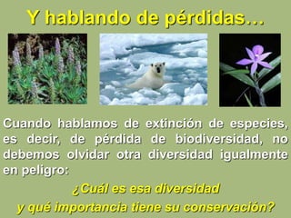 Y hablando de pérdidas…
Cuando hablamos de extinción de especies,
es decir, de pérdida de biodiversidad, no
debemos olvidar otra diversidad igualmente
en peligro:
¿Cuál es esa diversidad
y qué importancia tiene su conservación?
 