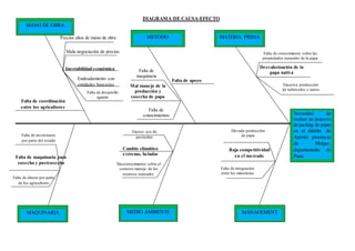 MANO DE OBRA
METODO
MEDIO AMBIENTE
MATERIA PRIMA
MAQUINARIA
Falta de coordinación
entre los agricultores
Inestabilidad económica
Mal manejo de la
producción y
cosecha de papa
Falta de maquinaria para
cosecha y postcosecha
Cambio climático
extremo, heladas
Desvalorización de la
papa nativa
MANAGEMENT
Baja competitividad
en el mercado
Mala negociación de precios
Endeudamiento con
entidades bancarias
Precios altos de mano de obra
Falta de desarrollo
agrario
Necesidad de
realizar un proyecto
de packing de papas
en el distrito de
Ayaviri provincia
de Melgar,
departamento de
Puno
Falta de
maquinaria
Falta de
conocimientos
Falta de apoyo
Falta de inversiones
por parte del estado
Falta de dinero por parte
de los agricultores
Exceso uso de
pesticidas
Desconocimiento sobre el
correcto manejo de los
recursos naturales.
Excesiva producción
de tubérculos y raices
Falta de conocimiento sobre las
propiedades naturales de la papa
Elevada producción
de papa
Falta de integración
entre los minoristas
DIAGRAMA DE CAUSA-EFECTO
 