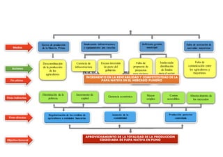 PRACTICA 07: ÁRBOL DE OBJETIVOS
Exceso de producción
de la Materia Prima
Falta de asociación de
mercados mayoristas
Deficiente gestión
municipal
Inadecuada infraestructura
y equipamiento pos cosecha
Falta de
comunicación entre
los agricultores y
mayoristas.
Inadecuada
distribución
de fondos
para el sector
agrario
Falta de
propuesta de
proyectos
para mejoras
agropecuarias
Escasa inversión
de parte del
gobierno.
Carencia de
infraestructura
Descoordinación
de la producción
de los
agricultores
Acciones
Medios
Abastecimiento de
los mercados
Producción posterior
controlada
Aumento de la
rentabilidad
Costos
accesibles.
Mayor
empleo
Ganancia económica
Incremento de
capital
Disminución de la
pobreza
Regularización de los créditos de
agricultores a entidades bancarias
APROVECHAMIENTO DE LA TOTALIDAD DE LA PRODUCCIÓN
COSECHADA DE PAPA NATIVA EN PUNO
INCREMENTO EN LA RENTABILIDAD Y COMPETITIVIDAD DE LA
PAPA NATIVA EN EL MERCADO PUNEÑO
ObjetivoGeneral
Fines directos
Fin ultimo
Fines indirectos
 