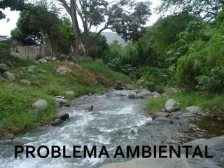 PROBLEMA AMBIENTAL