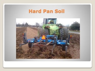 Hard Pan Soil
 