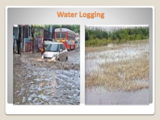 Water Logging
 