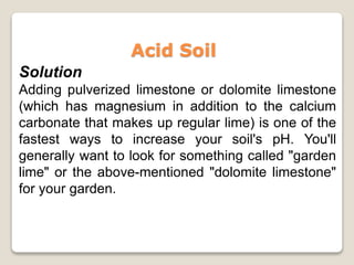 Acid Soil
Solution
Adding pulverized limestone or dolomite limestone
(which has magnesium in addition to the calcium
carbonate that makes up regular lime) is one of the
fastest ways to increase your soil's pH. You'll
generally want to look for something called "garden
lime" or the above-mentioned "dolomite limestone"
for your garden.
 