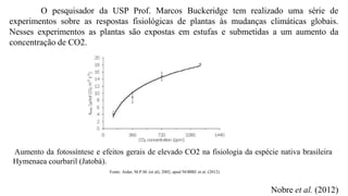 O pesquisador da USP Prof. Marcos Buckeridge tem realizado uma série de
experimentos sobre as respostas fisiológicas de plantas às mudanças climáticas globais.
Nesses experimentos as plantas são expostas em estufas e submetidas a um aumento da
concentração de CO2.
Nobre et al. (2012)
Aumento da fotossíntese e efeitos gerais de elevado CO2 na fisiologia da espécie nativa brasileira
Hymenaea courbaril (Jatobá).
Fonte: Aidar, M.P.M. (et al), 2002, apud NOBRE et al. (2012).
 