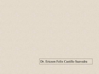 Dr. Ericson Felix Castillo Saavedra 