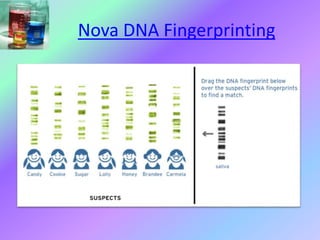 Nova DNA Fingerprinting
 