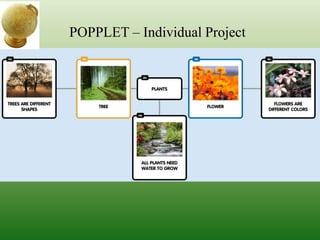 POPPLET – Individual Project
 